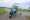 Green Eagle, ppg, paraglider, 4stroke, powered paraglider