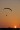 Green Eagle, ppg, paraglider, 4stroke, powered paraglider