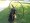 1. Parajet Zenith Thor 100 Paramotor