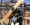 Powered Paraglider QUAD PACKAGE - INCLUDES THE PARAGLIDER, BlackHawk AirMax 220