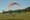 Powered Paraglider QUAD PACKAGE - INCLUDES THE PARAGLIDER, BlackHawk AirMax 220