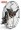 1. Fly Products Max Paramotor