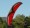 BlackHawk 125 Rhino Frame Powered Paragliding