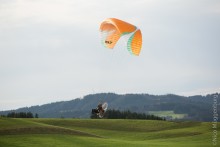 BGD Wasp