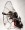 1. PAP Fly 200cc Paramotor