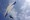 3. SUP'AIR Skypper