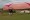 SCOUT Carbon Fiber Paramotor Powered Paragliding Equipment